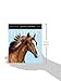 Horse Page-A-Day Gallery Calendar 2016