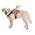 Cowboy Pet Costume