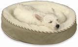 Gel Pedic Orthopedic Repel-a-Flea 20