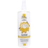 41Gp2tnqR8L. SL160  Top Performance Glocoat Conditioner 12Oz Conc