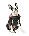 Gooby Padded Vest Dog Jacket - Pink, Small - Warm Zip Up Vest Fleece Jacket with Dual D Ring Leash Water Resistant for Small to Medium Dogs