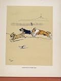 RACING DOG HOUND PET ANIMAL COLOR ANTIQUE OLD PRINT