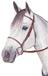 Kincade Raised Fancy Stitched Bridle with Reins