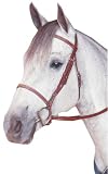 Kincade Padded Plain Raised Bridle With Reins