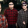 Image of The Aggrolites