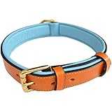 Luxury Real Leather Padded Dog Collar, Medium Tan and Teal- By Soft Touch Collars