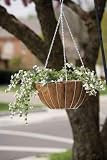 ACE TRADING ( SERVISTAR ) WH04 - 02 - W &acute; TULIP &acute; HANGING PLANTER & LINER 14 &acute; WHITE - B000RQ6TB6