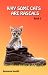 Why Some Cats are Rascals, Book2 by Boszenna Nowiki by Boszenna Nowiki