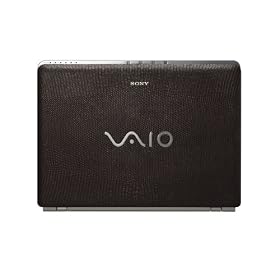 Sony VAIO VGN-CR420E T 14.1 Laptop (2.1 GHz Intel Core 2 Duo T8100 Processor, 3 GB RAM,... by Sony