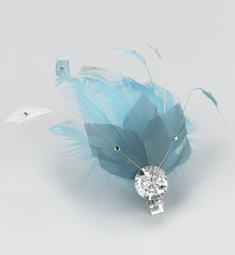 Autograph Peacock Feather Gem Clip