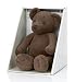 (02973357) Autograph Bear Soft Toy in Miscellaneous