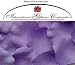 1000 Silk Rose Petals Wedding Favors - Two Tone - Light/Dark Purple