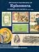 Book Design & Printing of Ephemera in Britain & America, 1720-1920