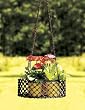 Lattice Herb Basket