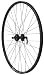 Avenir 32H Alloy QR Double Wall with Loose Ball Bearings 29 Inch x 1.9 Inch Disc Brake Only Black/Black Wheel (Front)