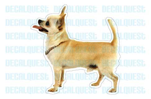 CHIHUAHUA - Dog Decal - sticker dogs car got window