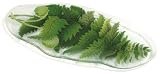 Peggy Karr 20-Inch Glass Organic Leaf Fern Plate