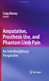 Amputation, Prosthesis Use, and Phantom Limb Pain: An Interdisciplinary Perspective Image of Amputation, Prosthesis Use, and Phantom Limb Pain: An Interdisciplinary Perspective