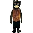 Beaver Mascot Costume Set