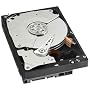 Western Digital 80 GB Caviar Blue SATA 7200 RPM 8 MB Cache Bulk/OEM Desktop Hard Drive WD800AAJS