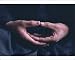 Photographic Print of Hands, Za-Zen meditation from Robert Harding