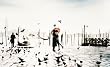 Romance (San Marco, Venice, Italy) Art poster Print - 36x24