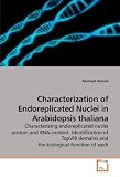 Characterization of Endoreplicated Nuclei in Arabidopsis thaliana: Characterizing endoreplicated nuclei protein and RNA content. Identification of TopVIB domains and the biological function of each