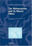 The Motoneurone And Its Muscle Fibres
