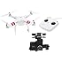 DJI Phantom 2 Quadcopter V2.0 Bundle, 3-Axis Zenmuse H4-3D Gimbal for GoPro Hero 4 Black (White)