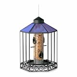 41GsoREqEvL. SL160  Buy Garden Bird Feeder Now