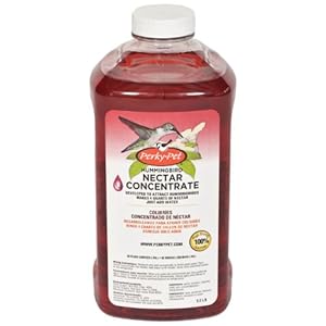 Perky-Pet 238 Hummingbird Nectar, 32-Ounce Concentrate
