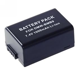 Floureon Replacement Digital Camera Battery For Panasonic Dmw-Bmb9 Dmw-Bmb9E Dmw-Bmb9Pp