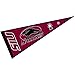 Southern Illinois Salukis Pennant Full Size Felt