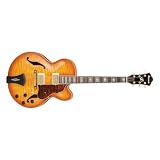 Ibanez AF125 inc. Case