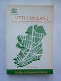 Little Ireland : aspects of the Irish and Greenhill, Swansea