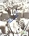 Brad Van Pelt Signed 8x10 Photo