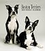 boston_terrier22boston terrier - Boston Terriers 2010 Hardcover Weekly Engagement