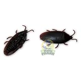 144 Fake Rubber Cockroaches