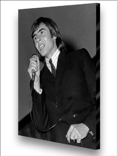 Monkeeys Archival Canvas and Photographic Limited Edition Art Print 36" x 28"