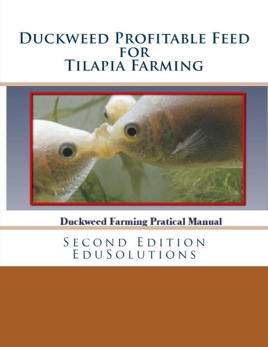 duckweed profitable feed for tilapia farming a practical manual to tilapia feeding tilapia fish farming  volume 2
