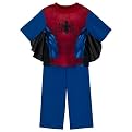 Toddler Boys' Short-sleeve Spiderman 2-piece PJ Set - Blue