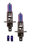 EVO Formance 93383 Spectras 75W=100W Blue H1 Halogen Bulb - Pack of 2