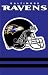 Baltimore Ravens Applique Banner Flag