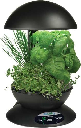 Childrens Toyshop  Outdoor Living : AeroGarden 900100-1200 AeroGarden 3 with Gourmet Herb Seed Kit, Black