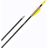 Trophy Ridge 30in Safetyglass Target Archery Arrows - 72 Pack