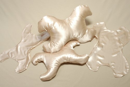 Compare Prices Save My Face Pillow Value Set In Satin Champagne