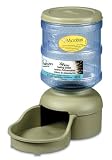 Petmate LeBistro Feeder with MicroBan, 2 Pounds, Aloe