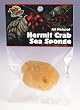 ZOO HERMIT CRAB SEA SPONGE