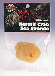 ZOO HERMIT CRAB SEA SPONGE