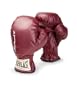 Everlast Muhammad Ali Collection Youth Boxing Gloves